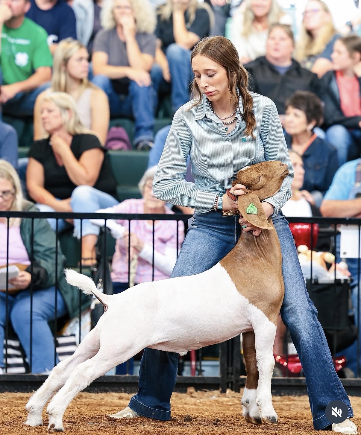 Justin's daughter showing a goat at the fair.